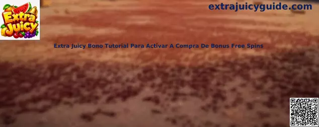 Extra Juicy Bono Tutorial Para Activar A Compra De Bonus Free Spins